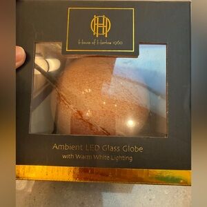 NWT Ambient LED Glass Globe - Copper Marble shades, uses 2 AAA batteries. Vibes!